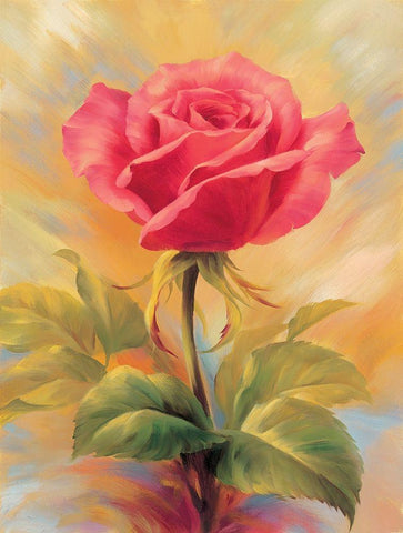 Small Roses II White Modern Wood Framed Art Print with Double Matting by Skorupska, Patrycja