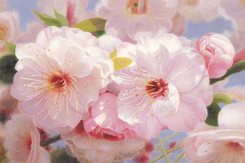 American Flowers I White Modern Wood Framed Art Print with Double Matting by Murphy, John