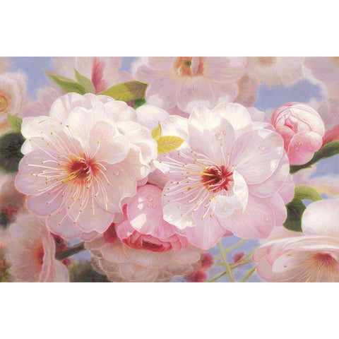 American Flowers I White Modern Wood Framed Art Print by Murphy, John