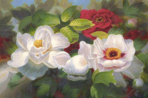 American Flowers I White Modern Wood Framed Art Print with Double Matting by Murphy, John