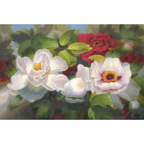 American Flowers I Black Modern Wood Framed Art Print with Double Matting by Murphy, John