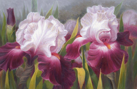 American Flowers VI White Modern Wood Framed Art Print with Double Matting by Murphy, John