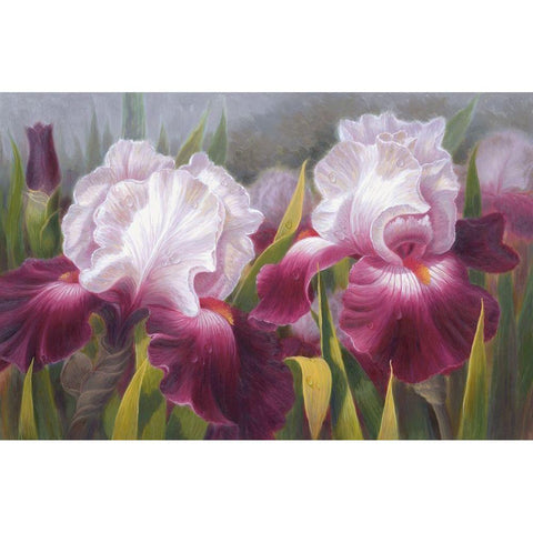 American Flowers VI Gold Ornate Wood Framed Art Print with Double Matting by Murphy, John