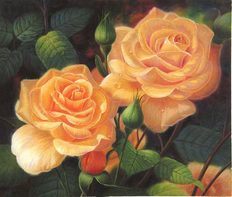 American Flowers VII Black Ornate Wood Framed Art Print with Double Matting by Murphy, John