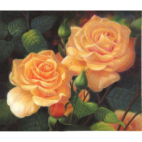 American Flowers VII Black Modern Wood Framed Art Print by Murphy, John