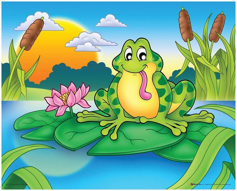 Lucky Frog White Modern Wood Framed Art Print with Double Matting by Viskova, Klara