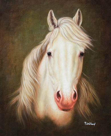 White Horse White Modern Wood Framed Art Print with Double Matting by Petrikova, Eva