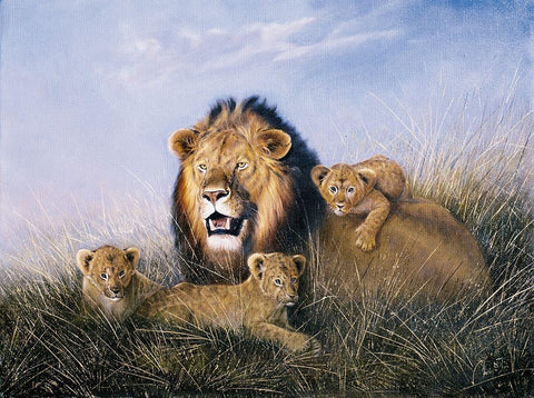 Lion with Lionets White Modern Wood Framed Art Print with Double Matting by Skorepa, Jan