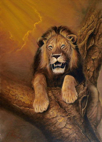 Old Lion Black Ornate Wood Framed Art Print with Double Matting by Skorepa, Jan