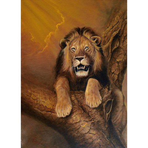 Old Lion Black Modern Wood Framed Art Print by Skorepa, Jan