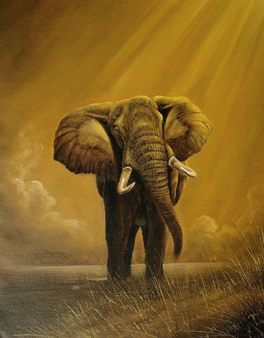 Old Elephant White Modern Wood Framed Art Print with Double Matting by Skorepa, Jan