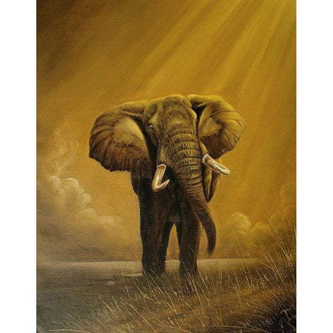 Old Elephant Black Modern Wood Framed Art Print with Double Matting by Skorepa, Jan