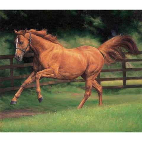 Running Brown Horse Gold Ornate Wood Framed Art Print with Double Matting by Petrikova, Eva