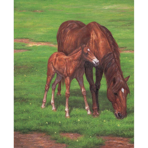 Mare with Foal Black Modern Wood Framed Art Print with Double Matting by Bizon, Vladimir