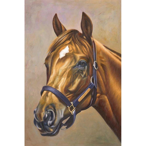 The Horse Dallas White Modern Wood Framed Art Print by Bizon, Vladimir