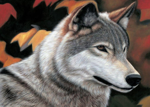 Smiling Wolf White Modern Wood Framed Art Print with Double Matting by Novak, Bohuslav