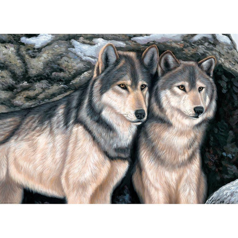 Two Wolfs by a Rock Black Modern Wood Framed Art Print with Double Matting by Novak, Bohuslav