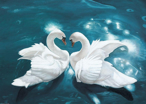 Swans in Love II Black Ornate Wood Framed Art Print with Double Matting by Fedorov, Borys