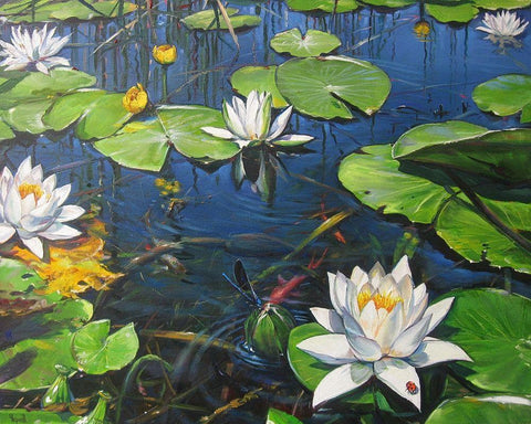 Watterlilly in the Kingdom of Summer White Modern Wood Framed Art Print with Double Matting by Cernov, Ivan