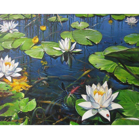 Watterlilly in the Kingdom of Summer Black Modern Wood Framed Art Print by Cernov, Ivan