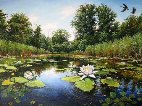 Watterlilly near Dnepropetrovsk White Modern Wood Framed Art Print with Double Matting by Cernov, Ivan