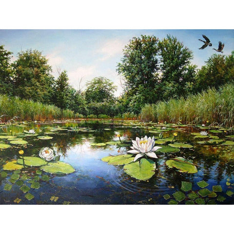 Watterlilly near Dnepropetrovsk Black Modern Wood Framed Art Print with Double Matting by Cernov, Ivan