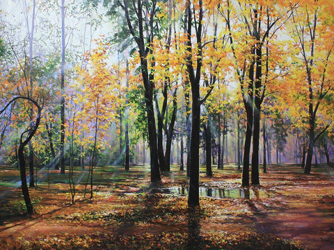 Park in Autumn Black Ornate Wood Framed Art Print with Double Matting by Cernov, Ivan