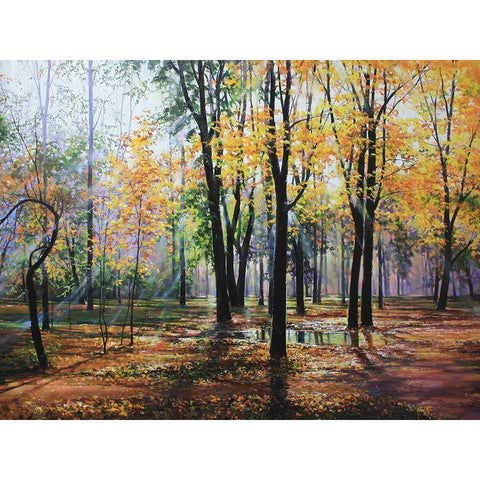 Park in Autumn Black Modern Wood Framed Art Print by Cernov, Ivan