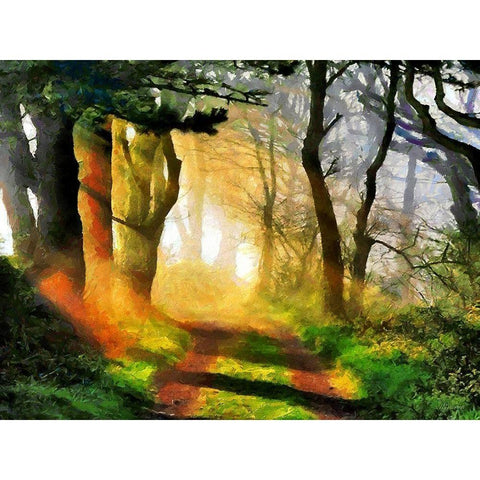 Sunshine between Trees Black Modern Wood Framed Art Print with Double Matting by Medeiros, Celito
