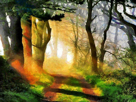 Sunshine between Trees White Modern Wood Framed Art Print with Double Matting by Medeiros, Celito