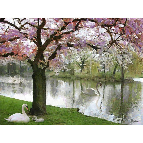 Swans in Spring Black Modern Wood Framed Art Print with Double Matting by Medeiros, Celito