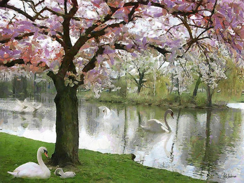 Swans in Spring Black Ornate Wood Framed Art Print with Double Matting by Medeiros, Celito