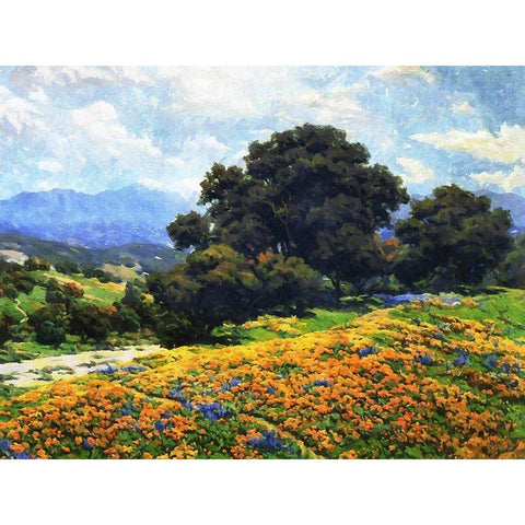 Magic Landscape Black Modern Wood Framed Art Print with Double Matting by Medeiros, Celito