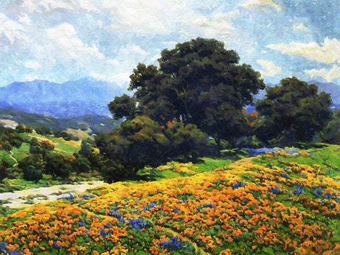 Magic Landscape Black Ornate Wood Framed Art Print with Double Matting by Medeiros, Celito