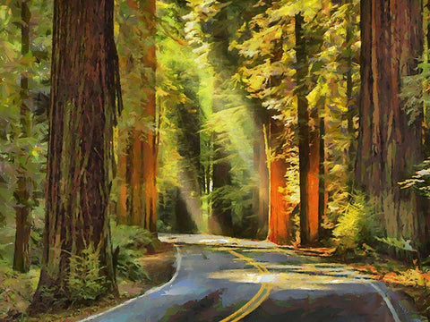 Street to The Sequoia NP White Modern Wood Framed Art Print with Double Matting by Medeiros, Celito