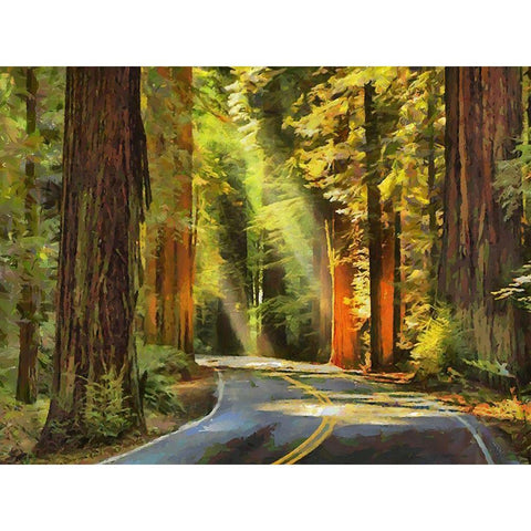 Street to The Sequoia NP Black Modern Wood Framed Art Print by Medeiros, Celito