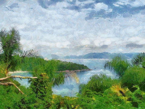 Impression Bay V Black Ornate Wood Framed Art Print with Double Matting by Medeiros, Celito