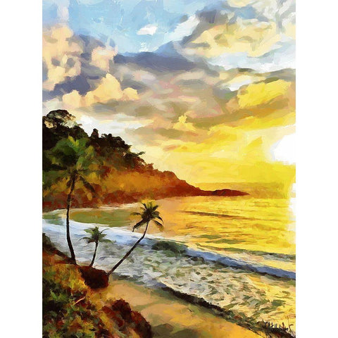 Sunset in Tropics II Black Modern Wood Framed Art Print with Double Matting by Medeiros, Celito