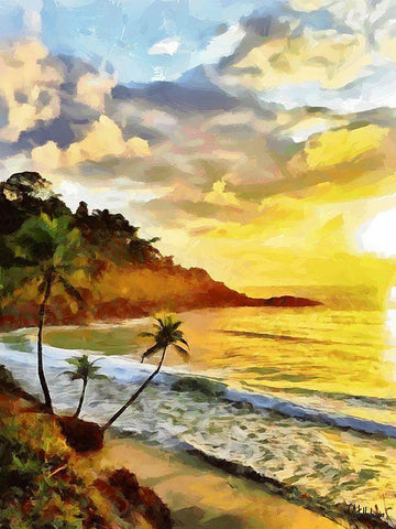 Sunset in Tropics II Black Ornate Wood Framed Art Print with Double Matting by Medeiros, Celito