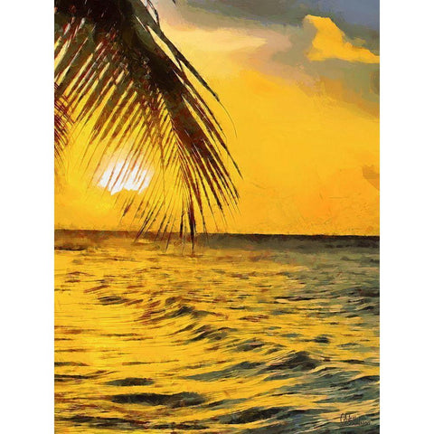 Sunset in Tropics IV Black Modern Wood Framed Art Print with Double Matting by Medeiros, Celito