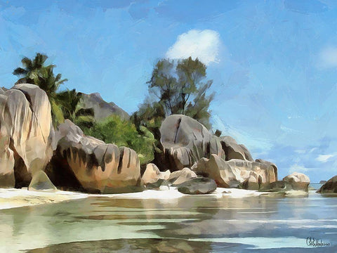 Seychelles White Modern Wood Framed Art Print with Double Matting by Medeiros, Celito