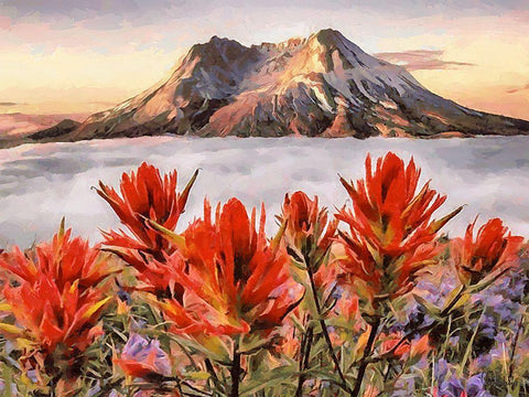 Mountain with Red Flowers in the Front Black Ornate Wood Framed Art Print with Double Matting by Medeiros, Celito