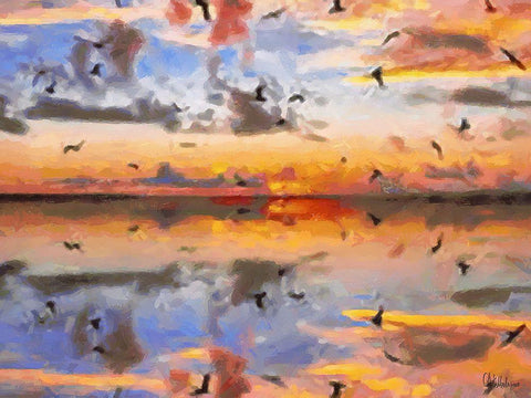 Sunset with Seagulls White Modern Wood Framed Art Print with Double Matting by Medeiros, Celito
