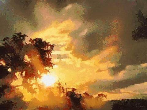 Sunset behind the Tree Black Ornate Wood Framed Art Print with Double Matting by Medeiros, Celito
