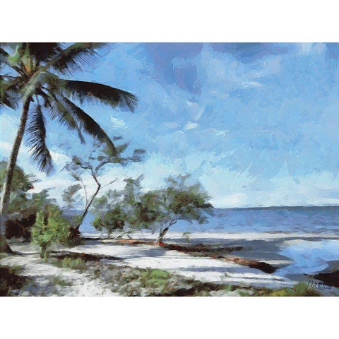 Beach in Brazil I Gold Ornate Wood Framed Art Print with Double Matting by Medeiros, Celito
