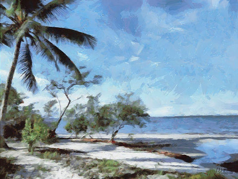 Beach in Brazil I Black Ornate Wood Framed Art Print with Double Matting by Medeiros, Celito