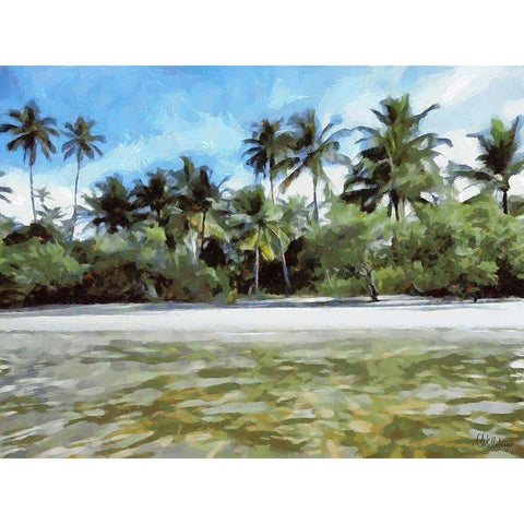 Beach in Brazil II Gold Ornate Wood Framed Art Print with Double Matting by Medeiros, Celito