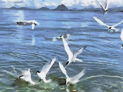 Seagulls White Modern Wood Framed Art Print with Double Matting by Medeiros, Celito