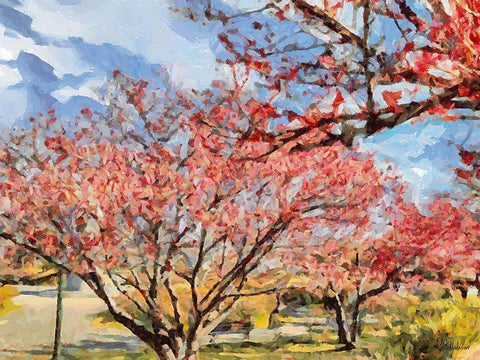 Red Flowering Tree White Modern Wood Framed Art Print with Double Matting by Medeiros, Celito