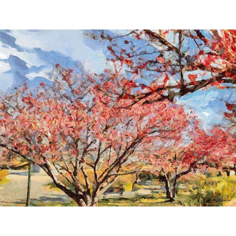 Red Flowering Tree White Modern Wood Framed Art Print by Medeiros, Celito